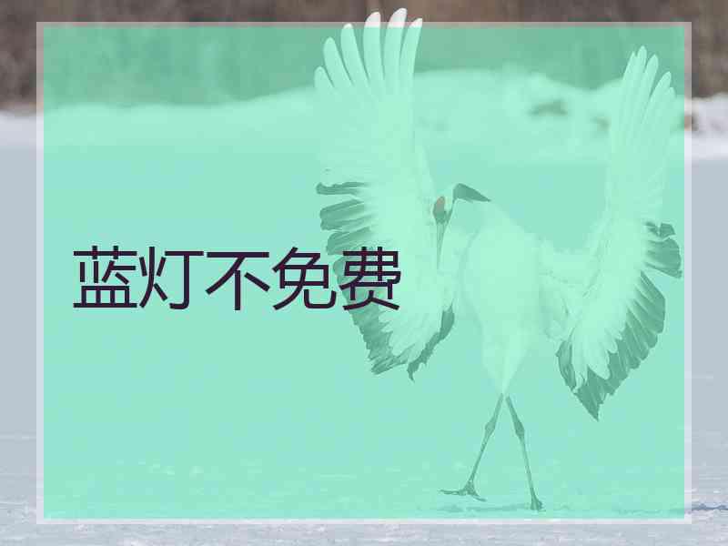 蓝灯不免费
