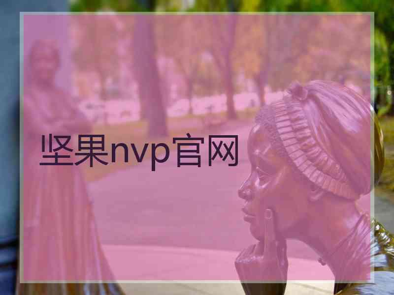 坚果nvp官网
