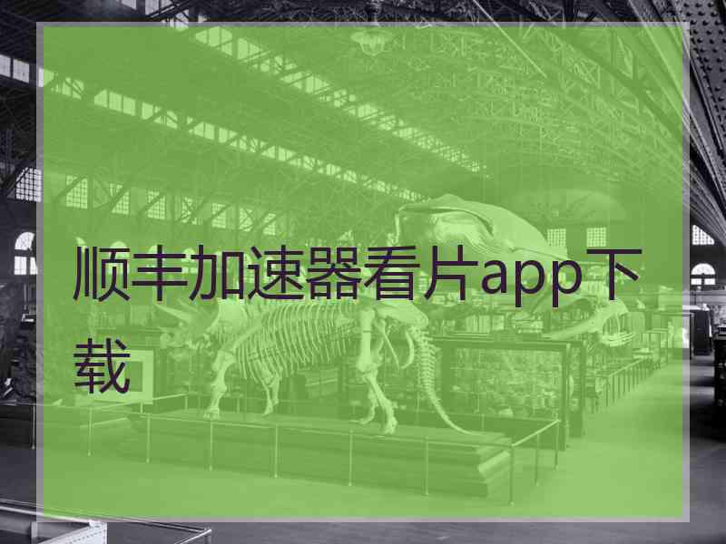 顺丰加速器看片app下载