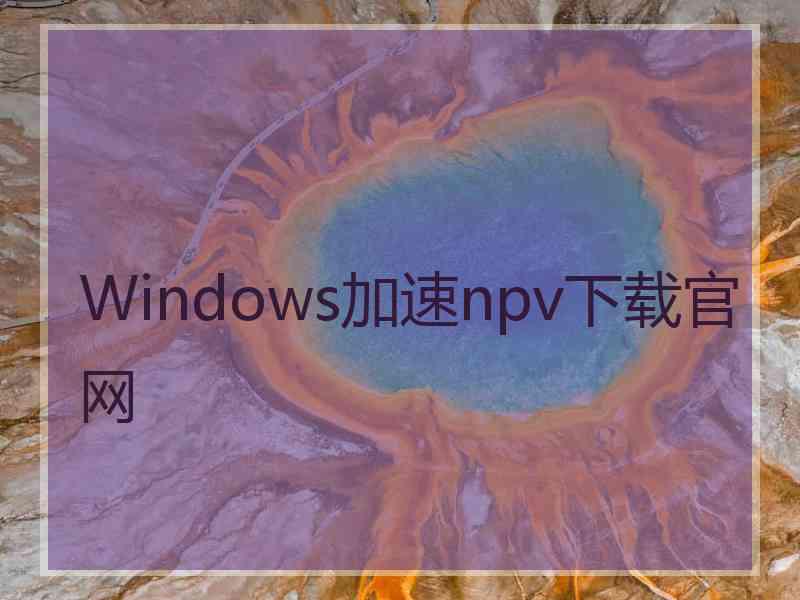 Windows加速npv下载官网