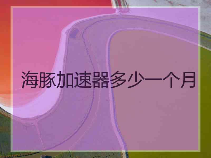 海豚加速器多少一个月