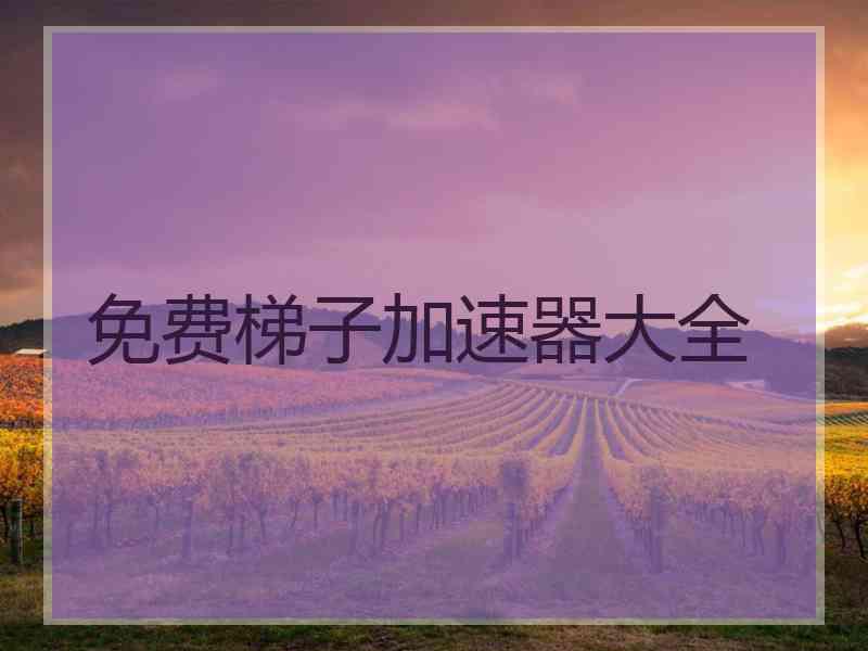 免费梯子加速器大全