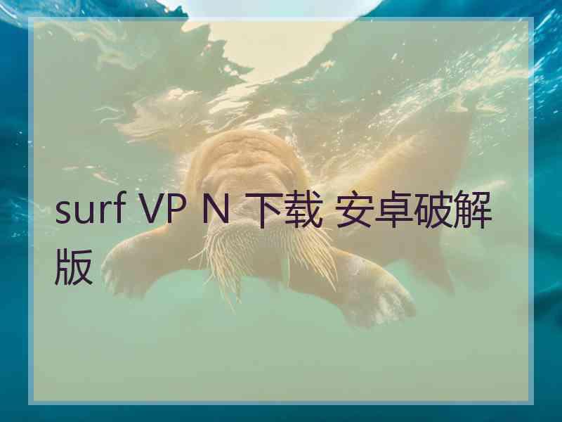 surf VP N 下载 安卓破解版