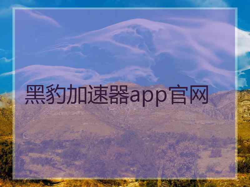 黑豹加速器app官网