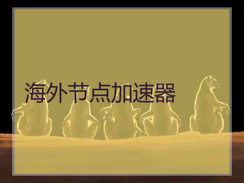 海外节点加速器