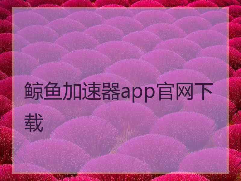 鲸鱼加速器app官网下载