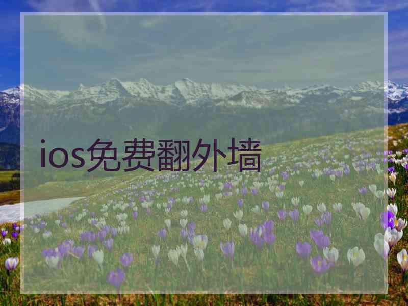 ios免费翻外墙