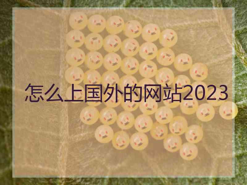 怎么上国外的网站2023