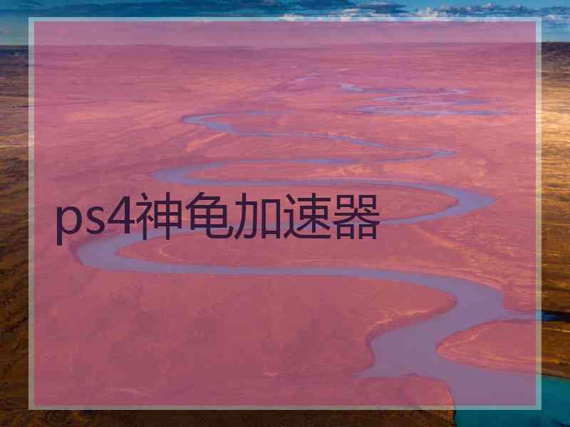 ps4神龟加速器