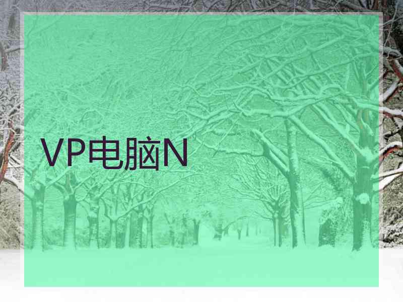VP电脑N
