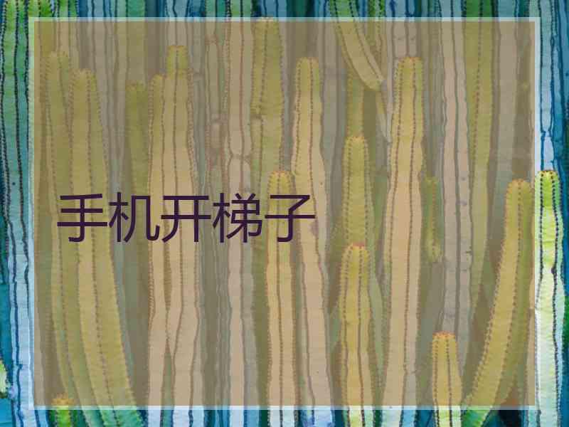 手机开梯子
