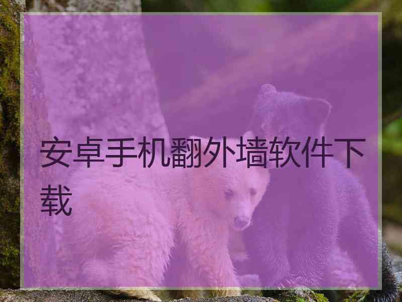 安卓手机翻外墙软件下载