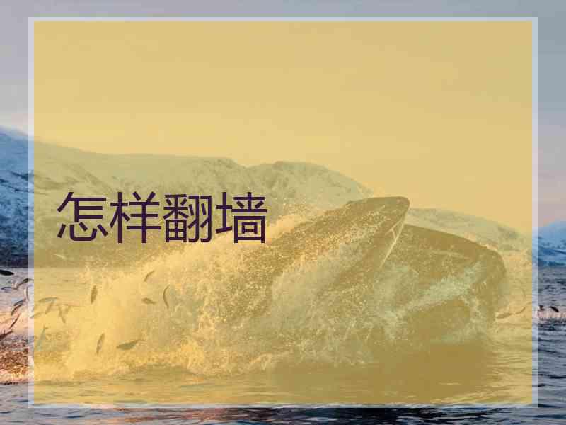 怎样翻墙