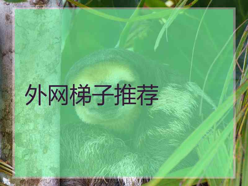 外网梯子推荐