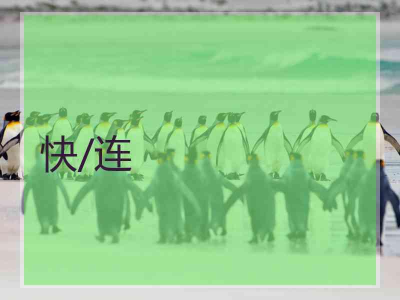 快/连