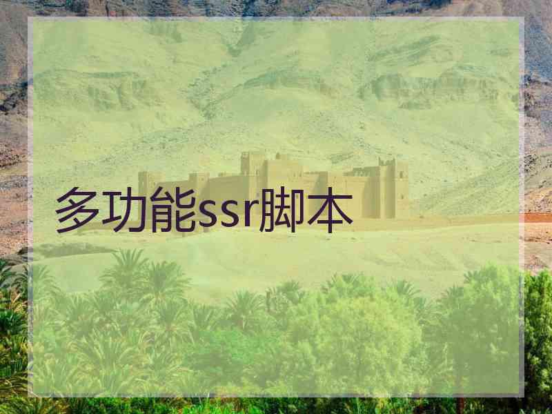 多功能ssr脚本