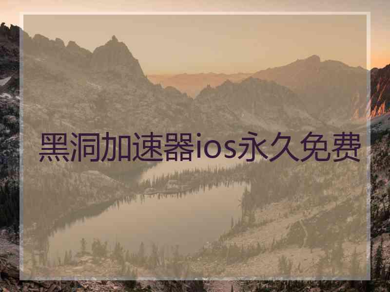 黑洞加速器ios永久免费