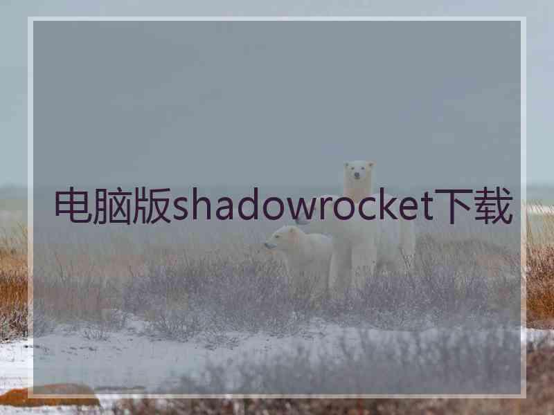 电脑版shadowrocket下载