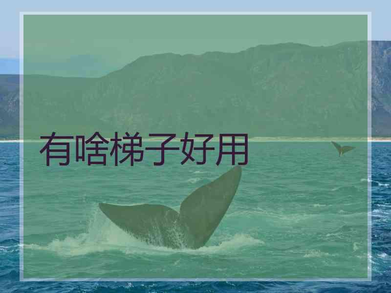 有啥梯子好用
