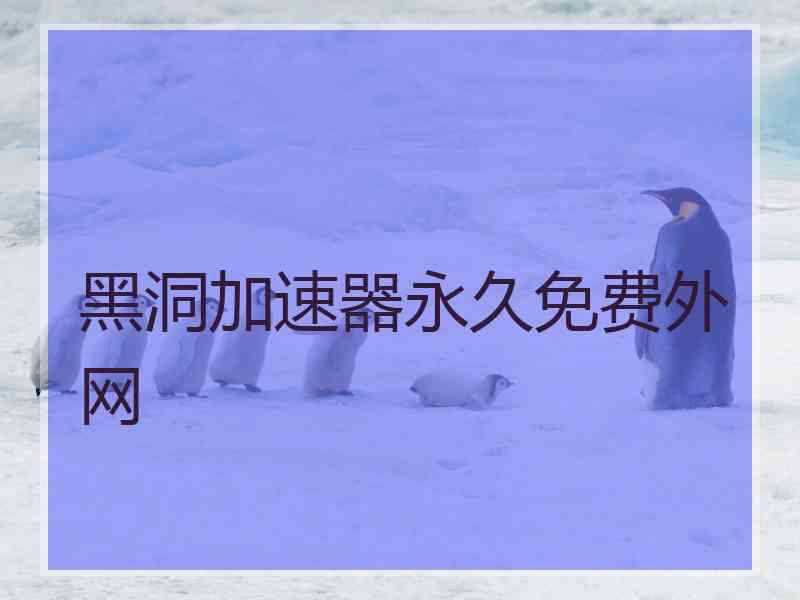 黑洞加速器永久免费外网