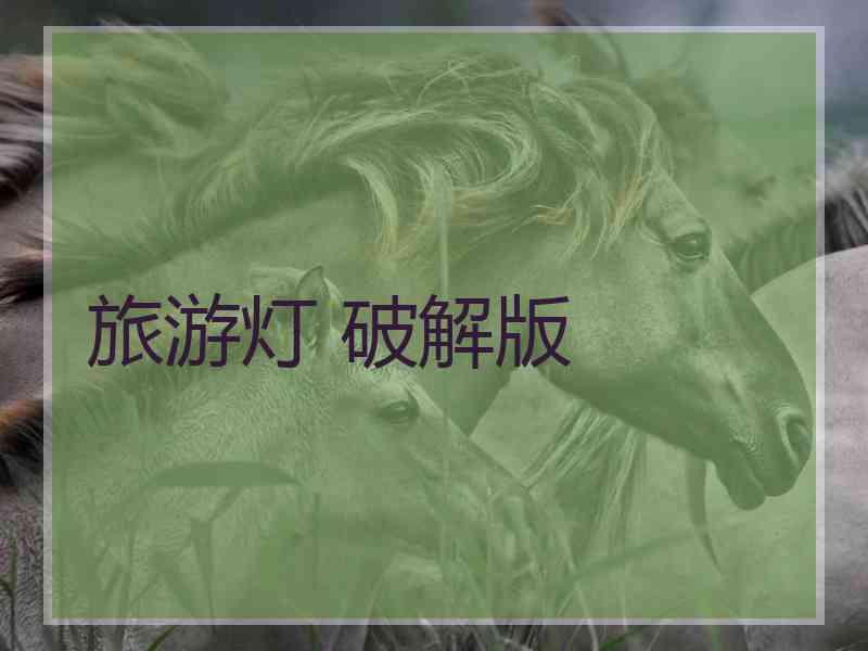旅游灯 破解版