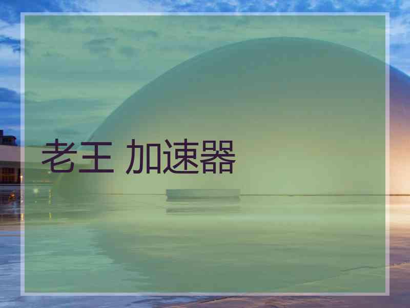 老王 加速器
