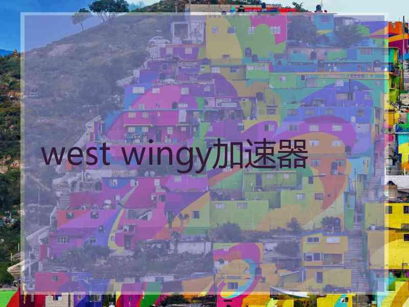 west wingy加速器