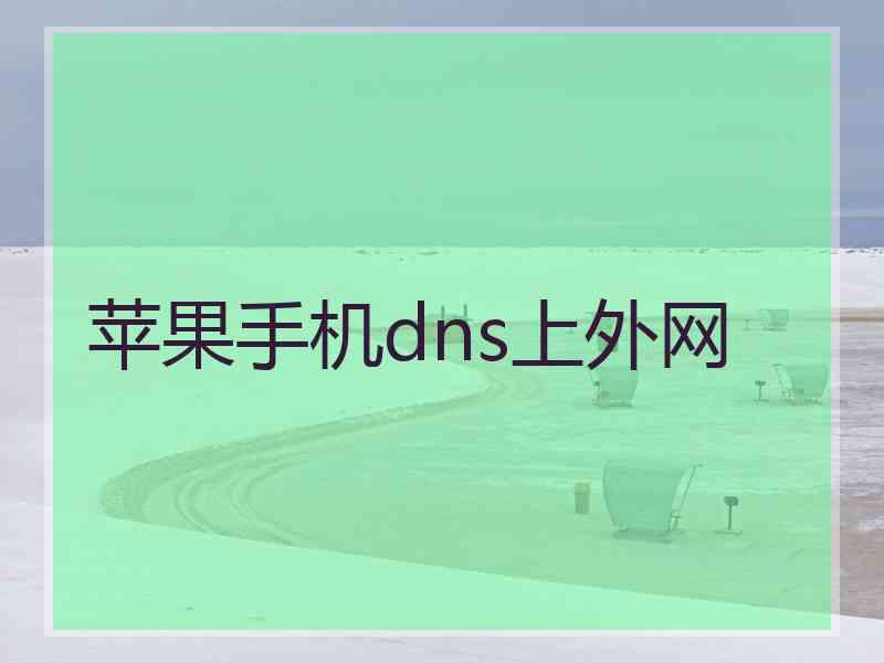 苹果手机dns上外网