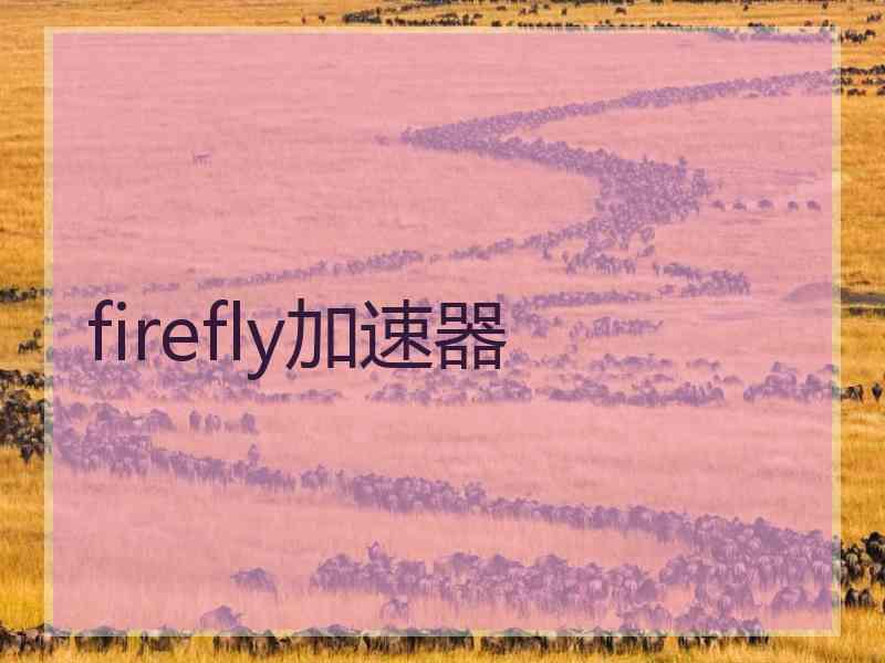 firefly加速器