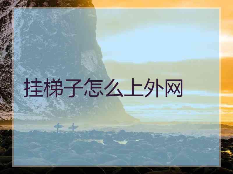 挂梯子怎么上外网