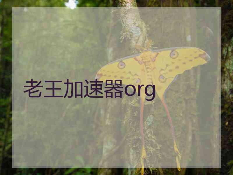 老王加速器org