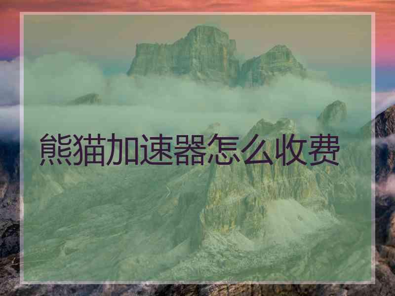 熊猫加速器怎么收费