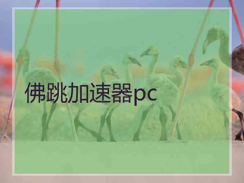 佛跳加速器pc