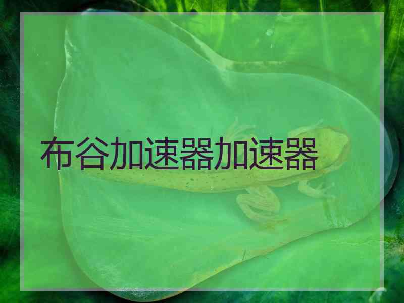 布谷加速器加速器