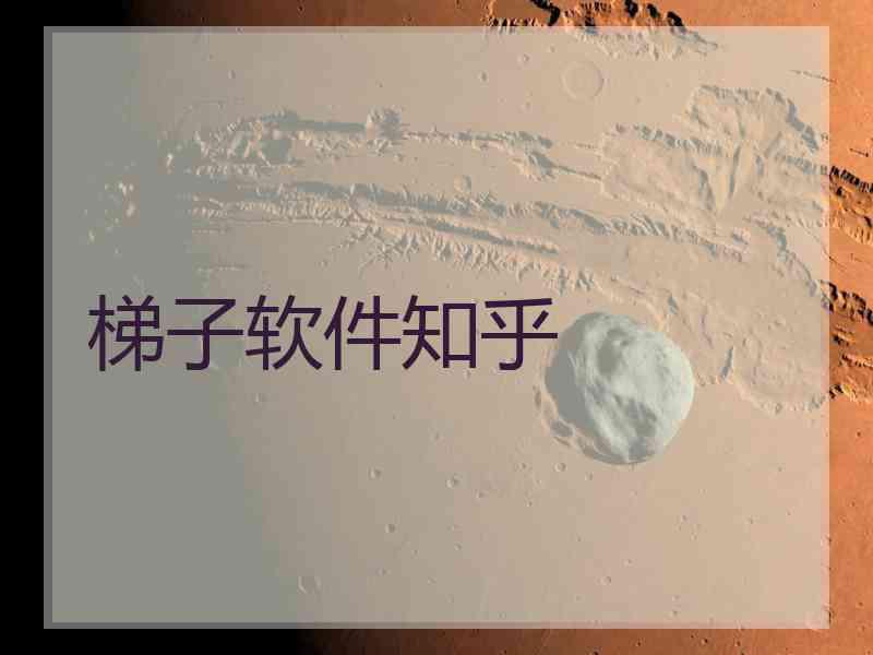 梯子软件知乎