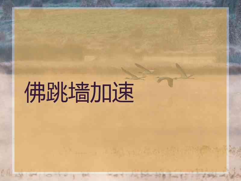 佛跳墙加速