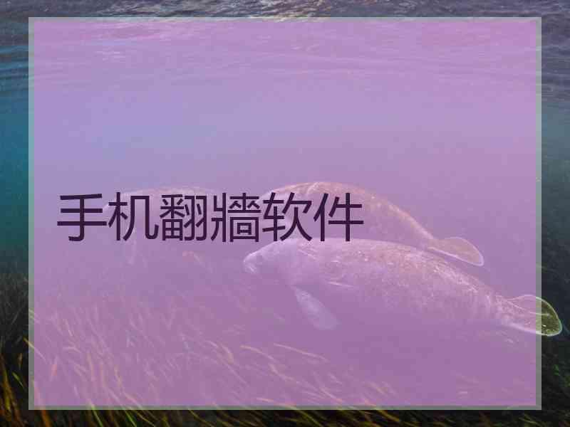手机翻牆软件