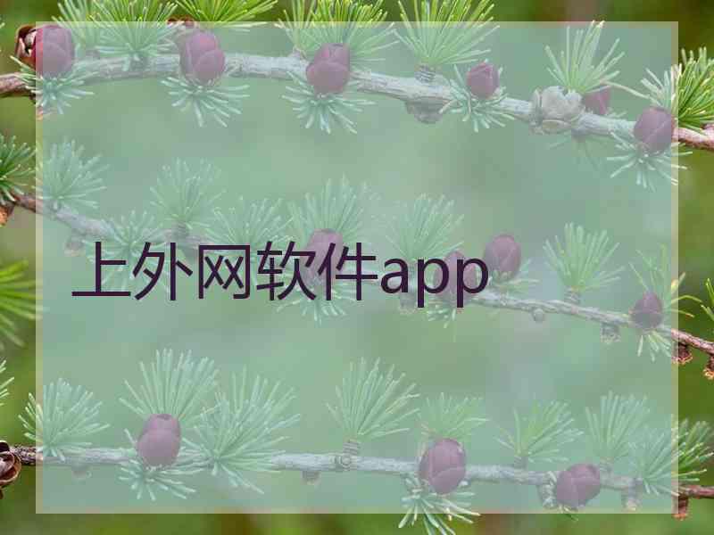 上外网软件app