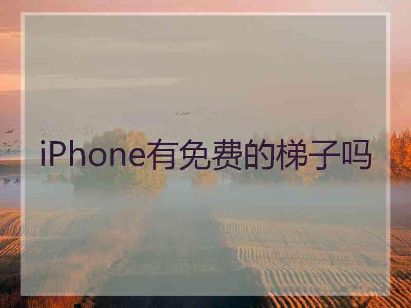 iPhone有免费的梯子吗