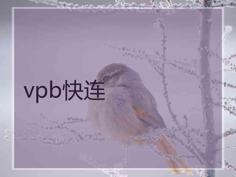 vpb快连