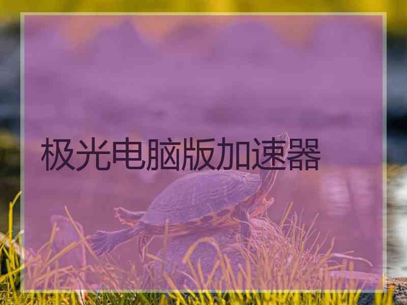 极光电脑版加速器