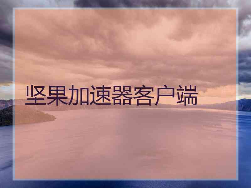 坚果加速器客户端