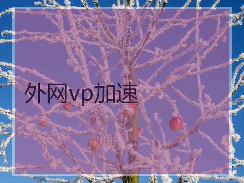 外网vp加速