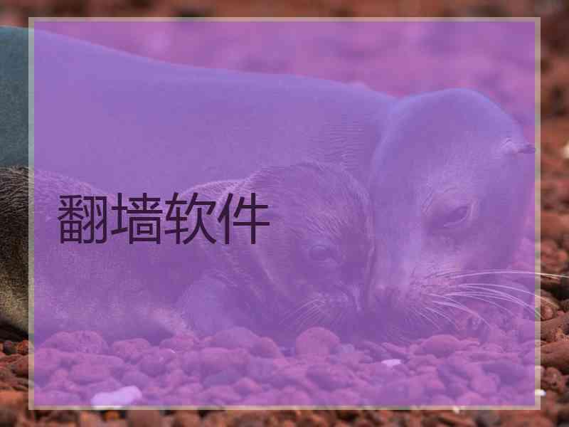 翻墙软件