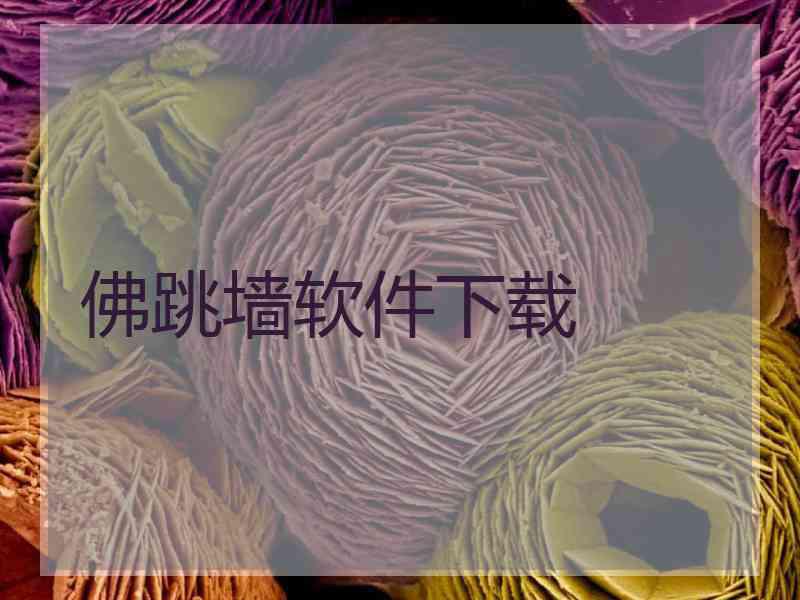 佛跳墙软件下载