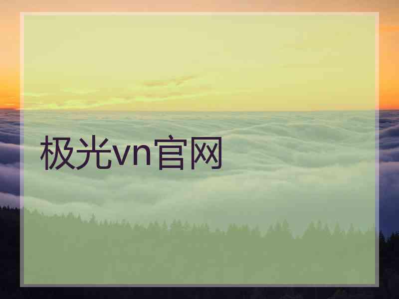 极光vn官网