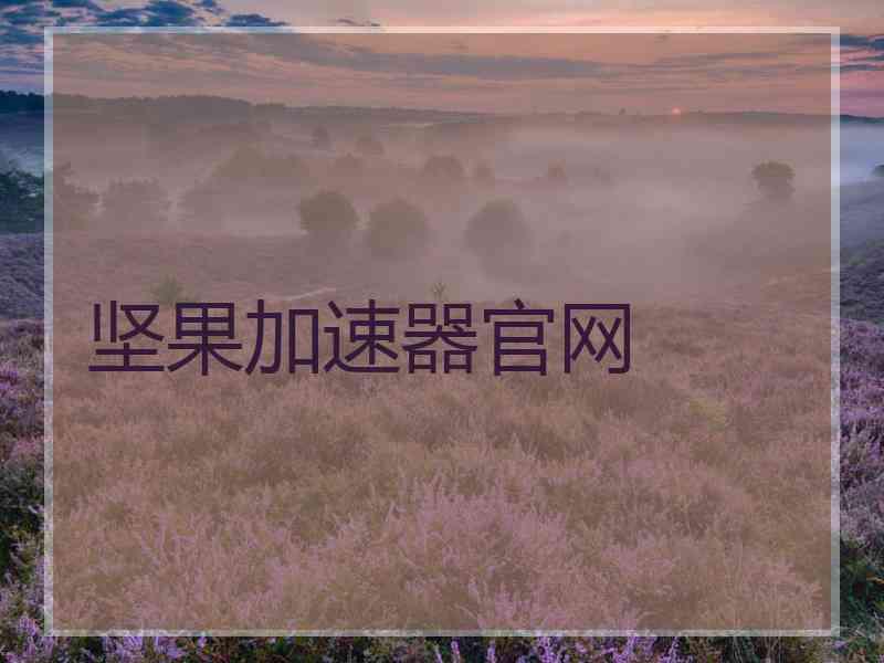 坚果加速器官网