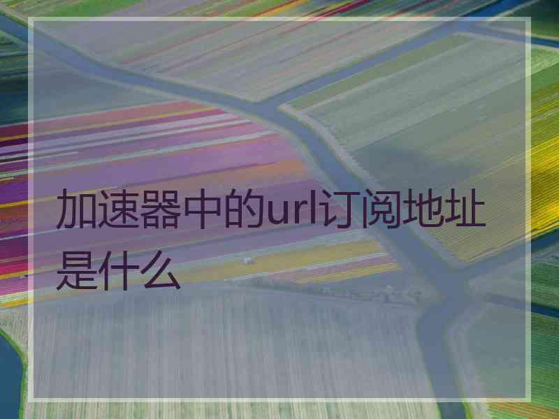 加速器中的url订阅地址是什么