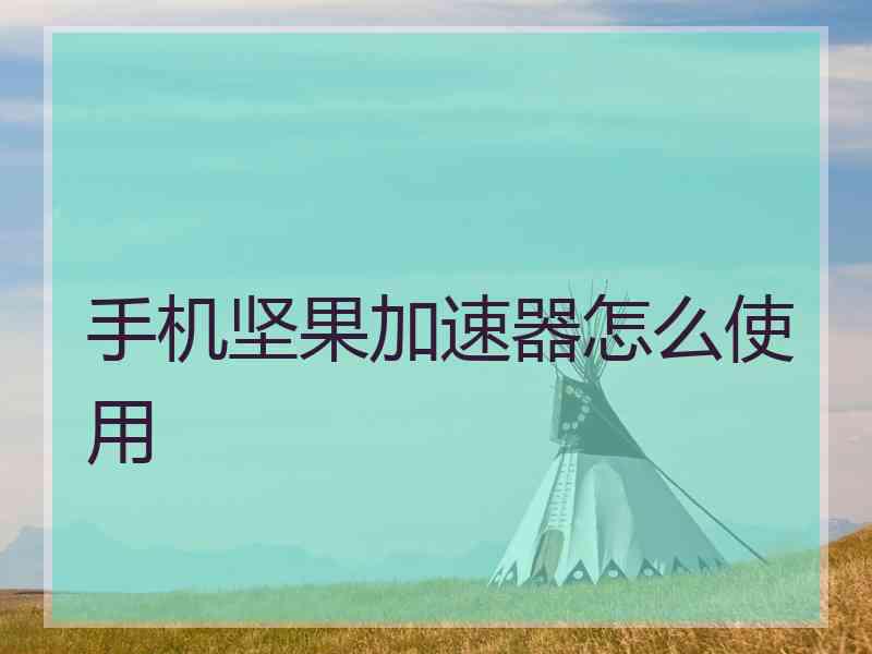 手机坚果加速器怎么使用