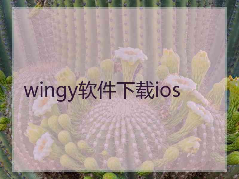 wingy软件下载ios